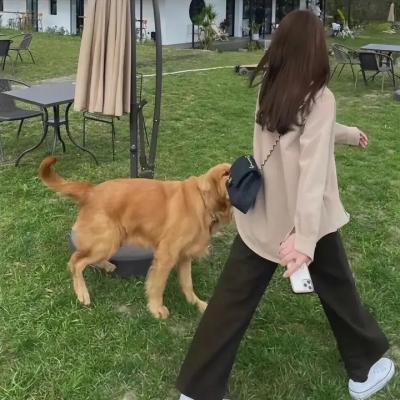 社交疑云