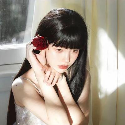二手狮王